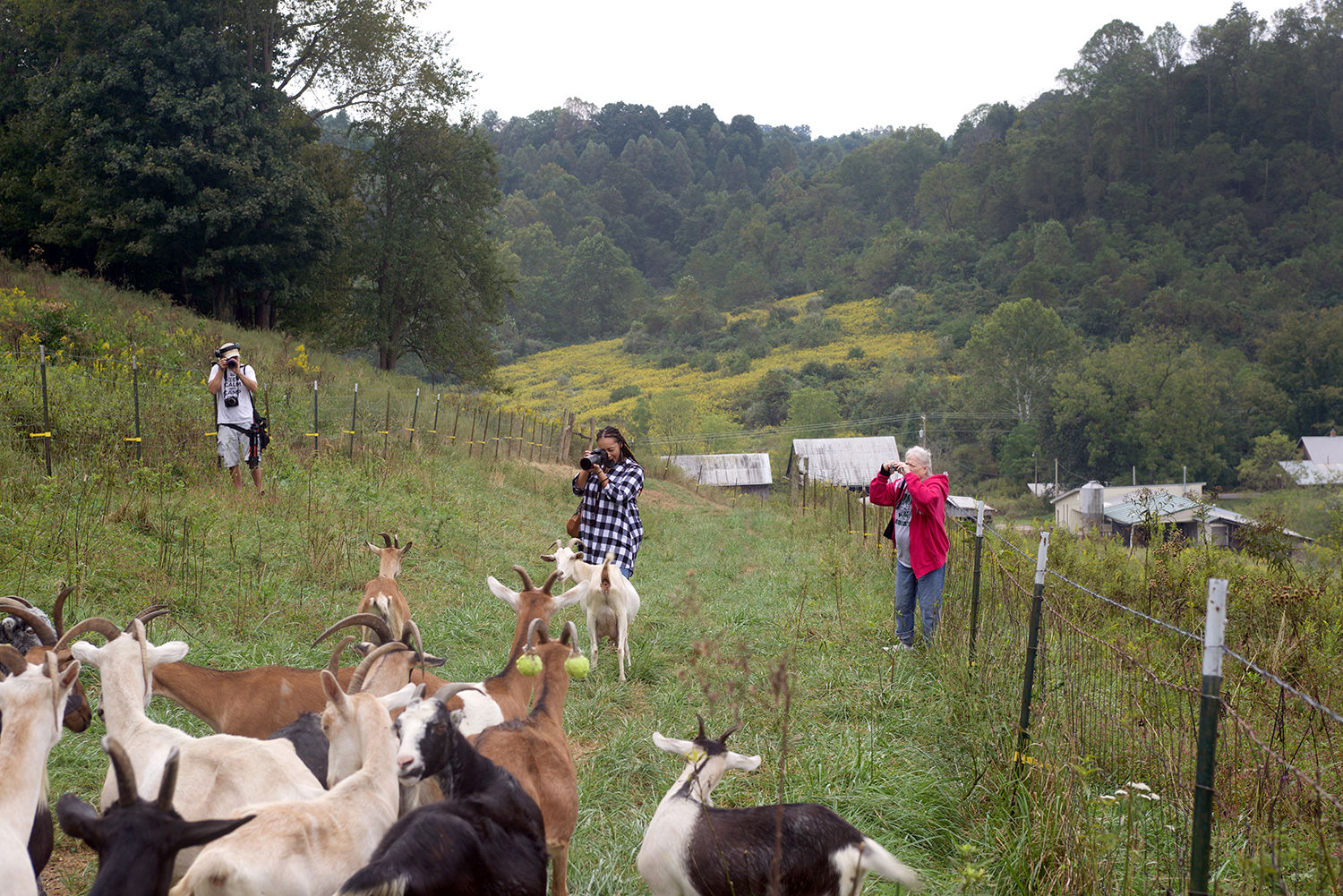 APP picture of photographers in field